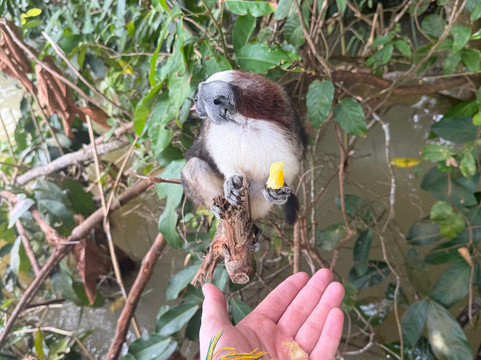 Gatun Sport Fishing Lodge-巴拿马城必去景点