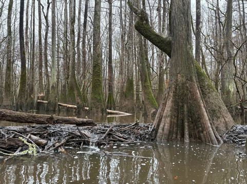 Carolina Outdoor Adventures-厄莫必去景点