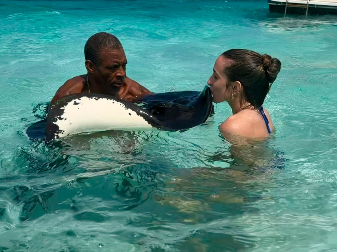 CAPTAIN VERNON CHARTERS LTD-西湾必去景点