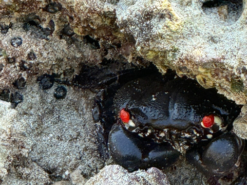 NomadicTribes | Andaman-Swaraj Dweep必去景点