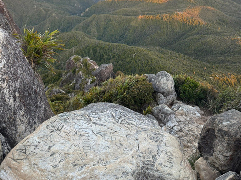 Kauaeranga Kauri Trail (Pinnacles Walk)-Thames必去景点