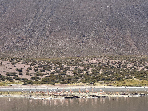 Sileia Tours-圣佩德罗-德阿塔卡马必去景点