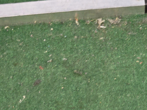 Jurassic Quest-Conroe必去景点