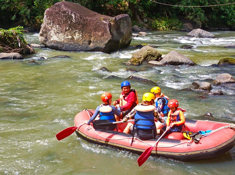 Safari Tours & Travel-万鸦老必去景点