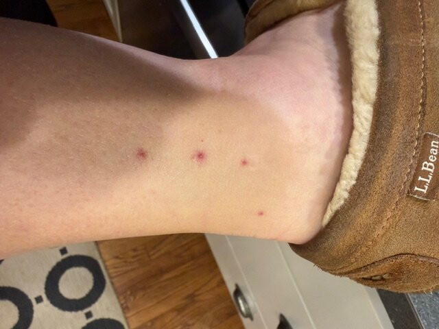 智选假日酒店-沃希斯-劳雷尔山-洲际酒店集团旗下主图