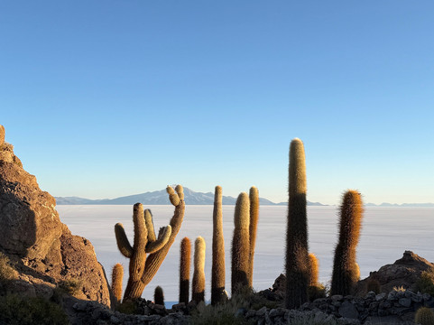 sajama expediciones-圣佩德罗-德阿塔卡马必去景点