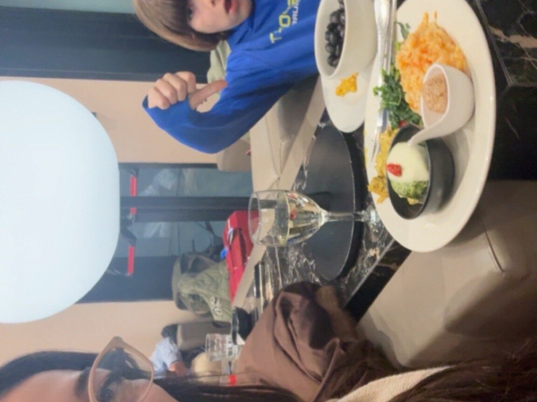 Plaza Premium Lounge (Schengen Area Departures Terminal 1)-菲乌米奇诺必去景点