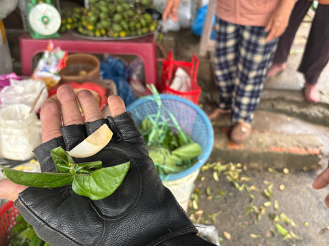 Easyriders-岘港必去景点