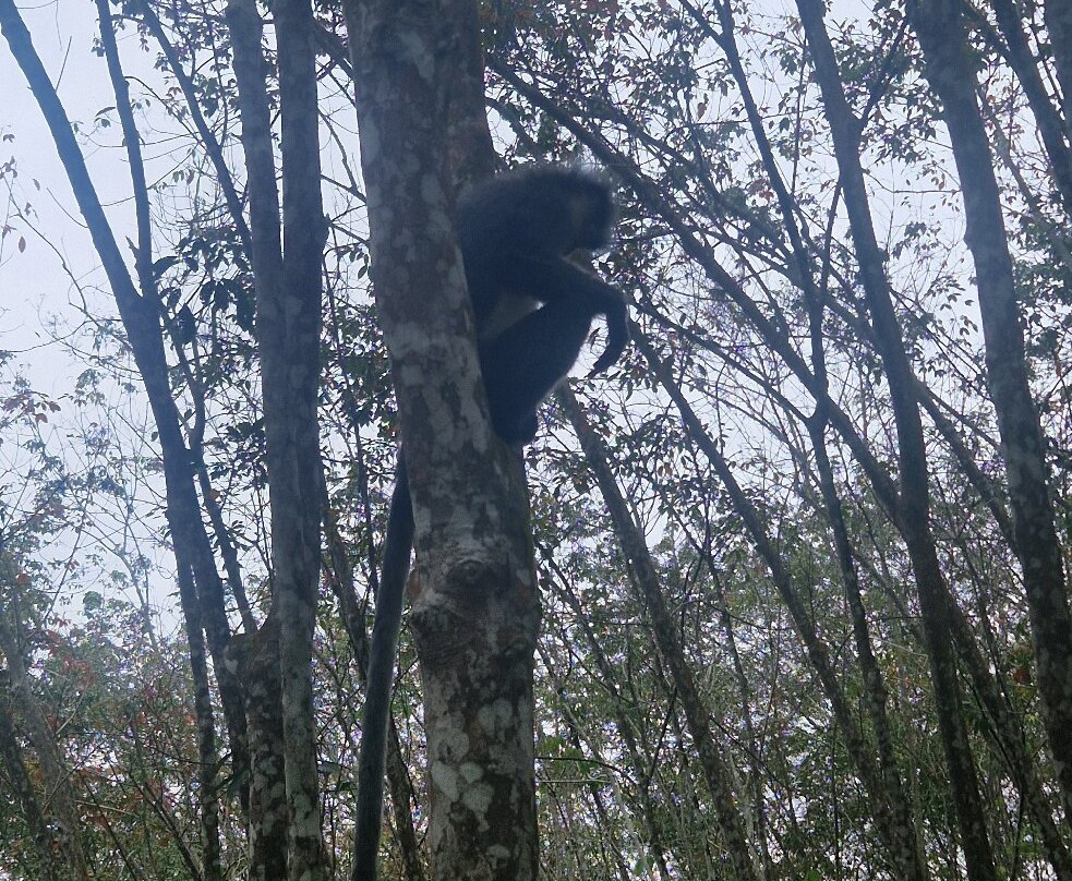 Trek of Sumatra-武吉拉旺必去景点