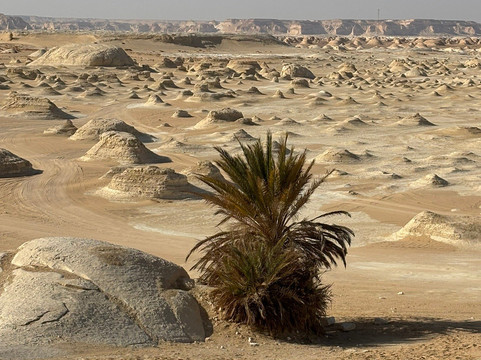 Jimmy Egypt Safari-Bawiti必去景点