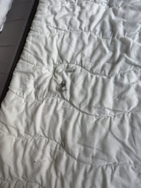 埃因霍温肯帕维恩中心公园假日公园-官方