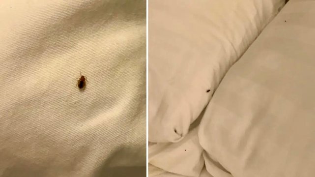 蒙茅斯美吟温德姆酒店-客卧