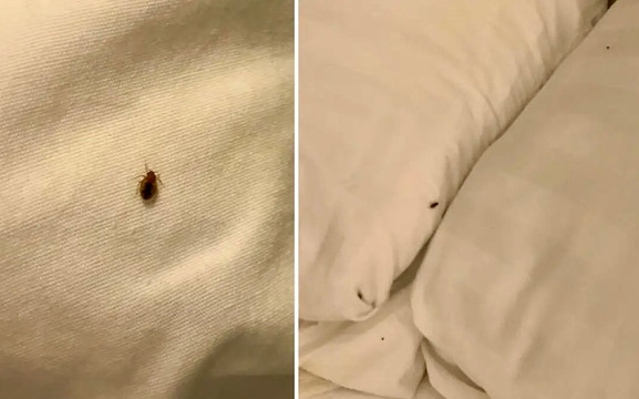 蒙茅斯美吟温德姆酒店主图