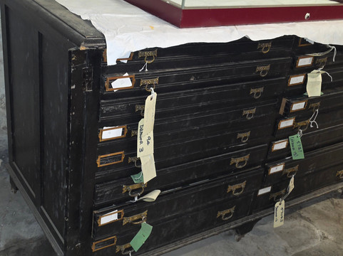 Arlington Court and the National Trust Carriage Museum-巴恩斯特珀尔必去景点