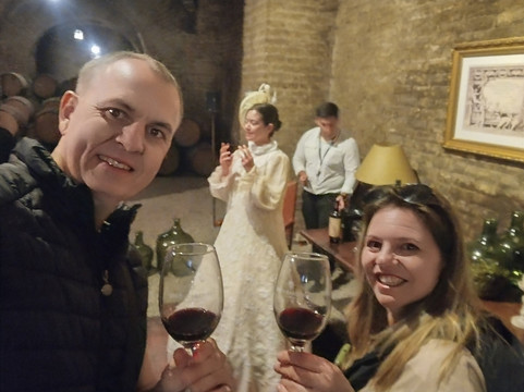 Vina Santa Carolina-圣地亚哥必去景点