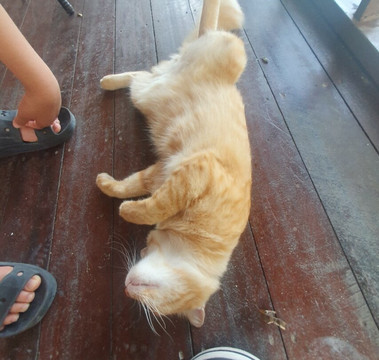 Bayview Sunset Resort主图