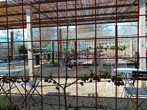 Chippenham Park-Chippenham必去景点