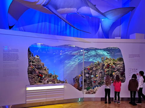 自然历史博物馆-赫尔辛基必去景点