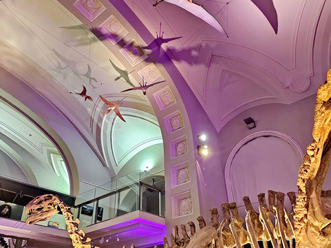 自然历史博物馆-赫尔辛基必去景点