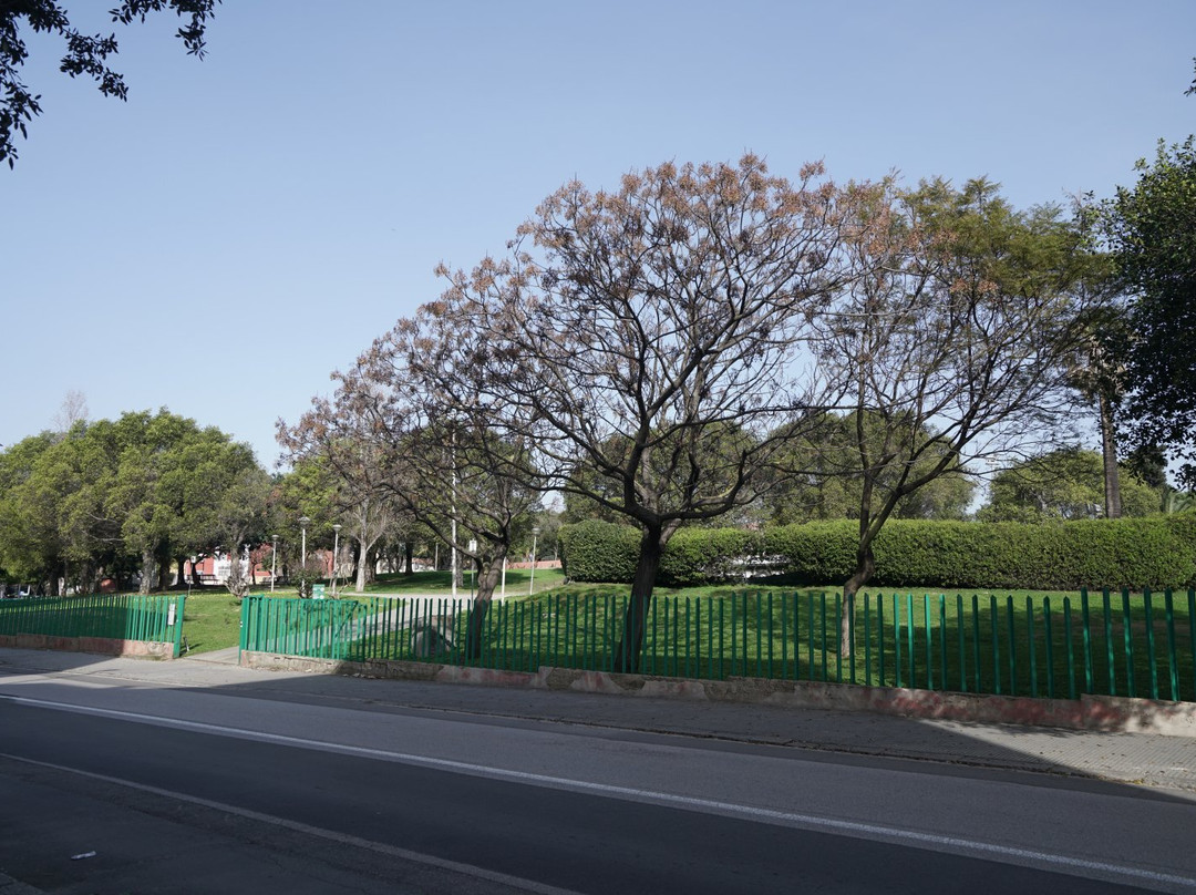 Parco Papa Giovanni Paolo Ii-塞雷尼奥必去景点