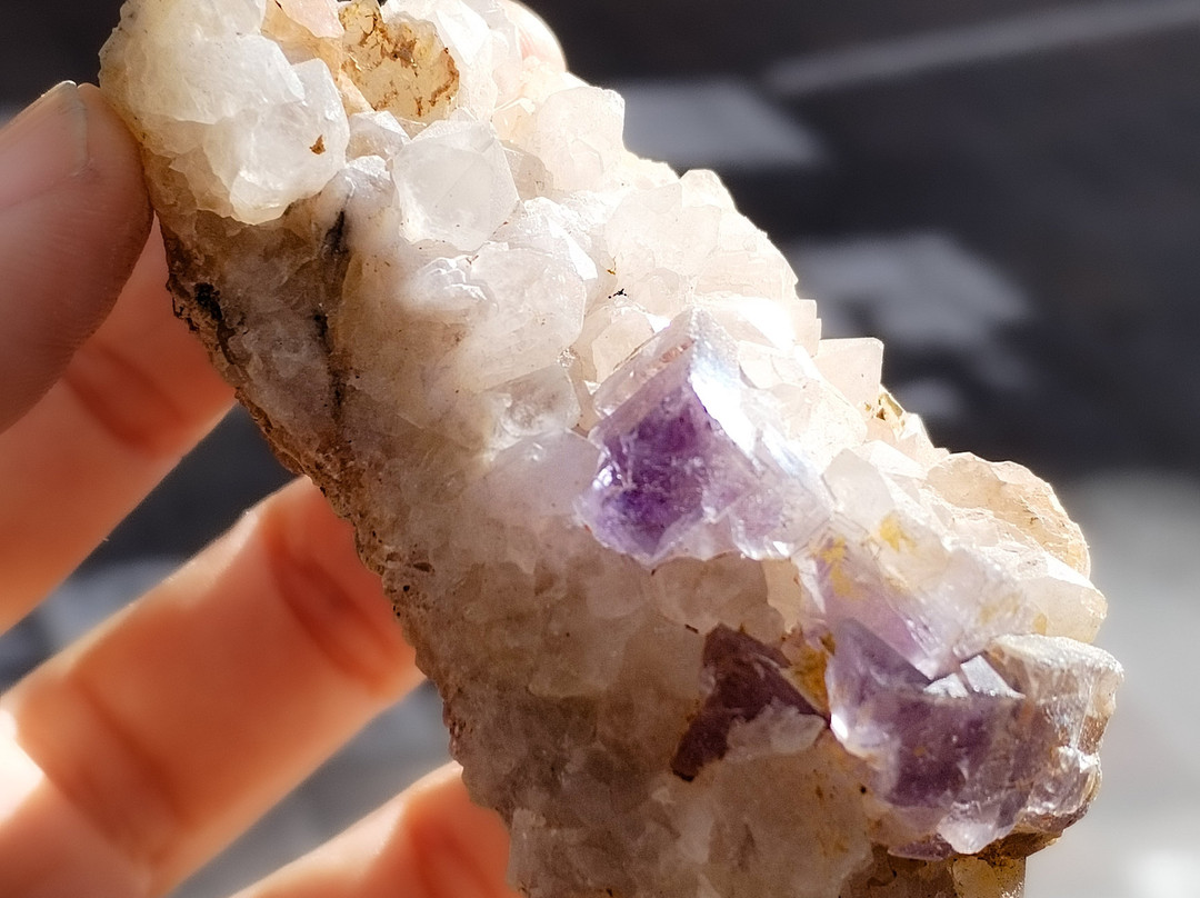 Mara Minerals-Caldes de Montbui必去景点