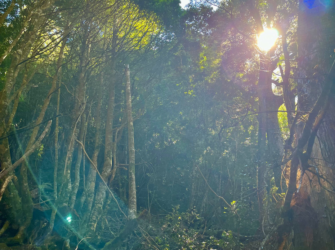 Tassie Tours Tasmania-霍巴特必去景点