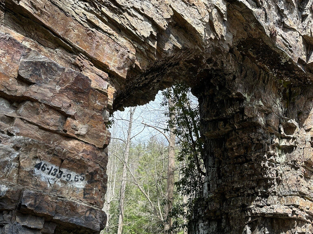 Backbone Rock-Shady Valley必去景点