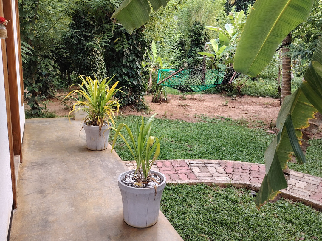 绿景野外度假村主图