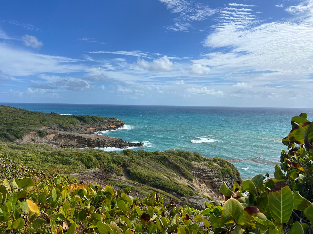 Presqu'ile de la Caravelle-Tartane必去景点