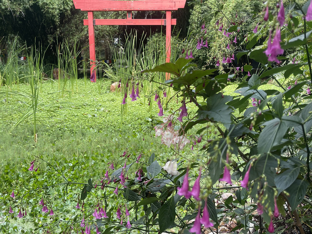 Crystal Castle & Shambhala Gardens-Montecollum必去景点