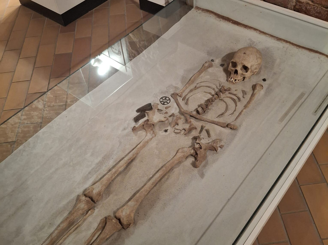 Utenos Kraštotyros Muziejus-Utena必去景点