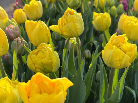 Tulleys-Turners Hill必去景点