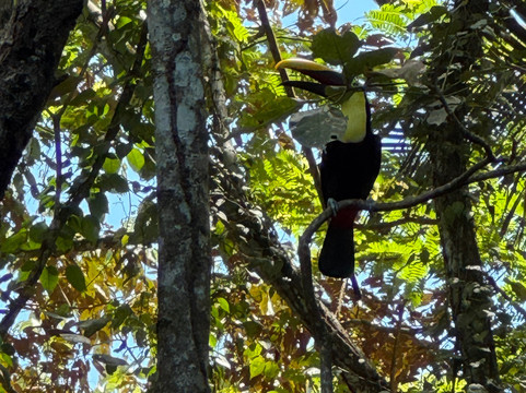 Best of Costa Rica DMC-圣何塞必去景点