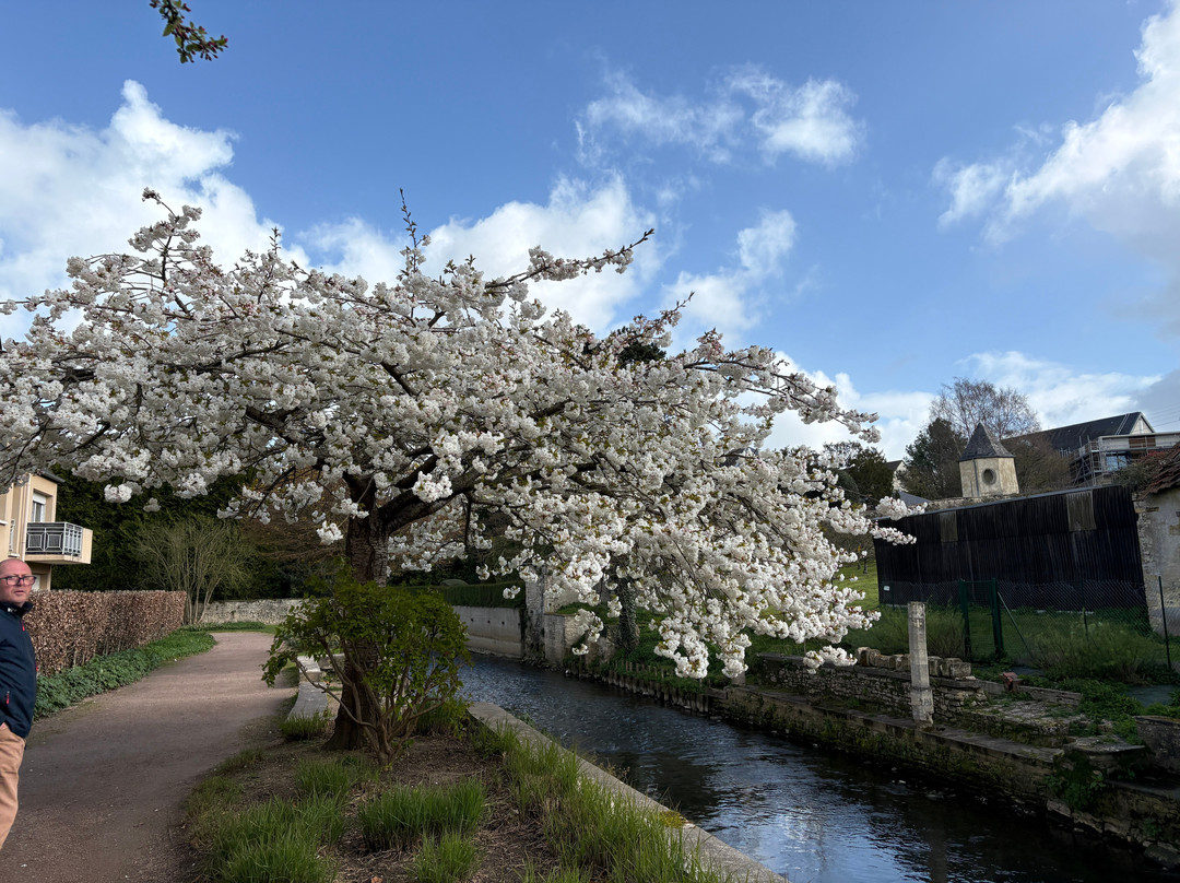 Jardin Public de Bayeux-巴约必去景点