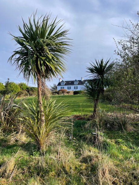 阿尔兹餐厅酒店-官方