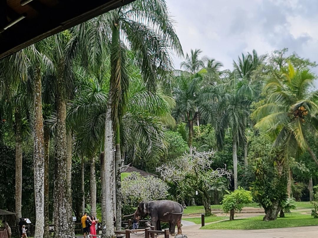 Your Bali Vacation-Batubulan必去景点