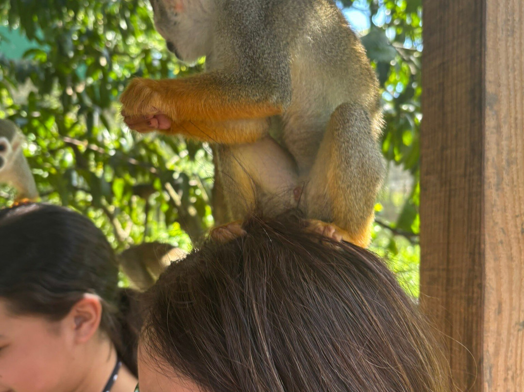 Runners Adventures-普拉塔港必去景点
