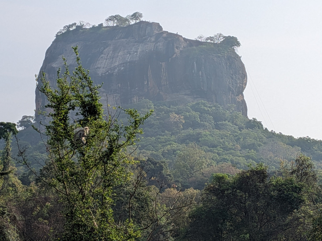 Sri Lanka Wide Tours-科伦坡必去景点