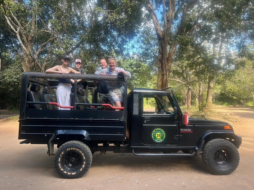 Minneriya Safari Tours-哈巴拉娜必去景点