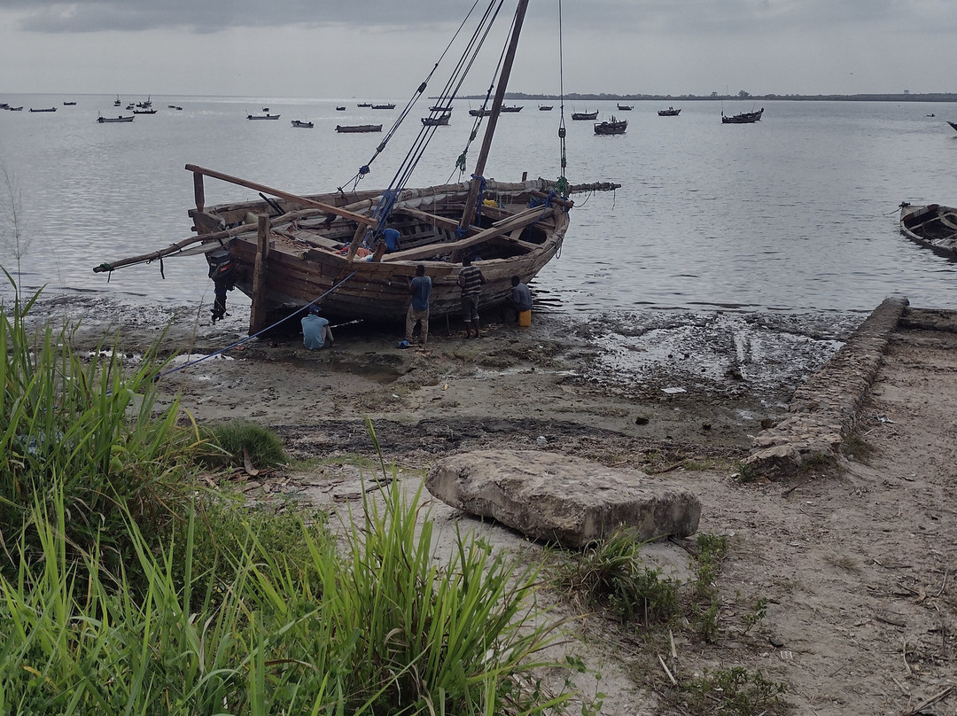 GMExpeditions-阿鲁沙必去景点