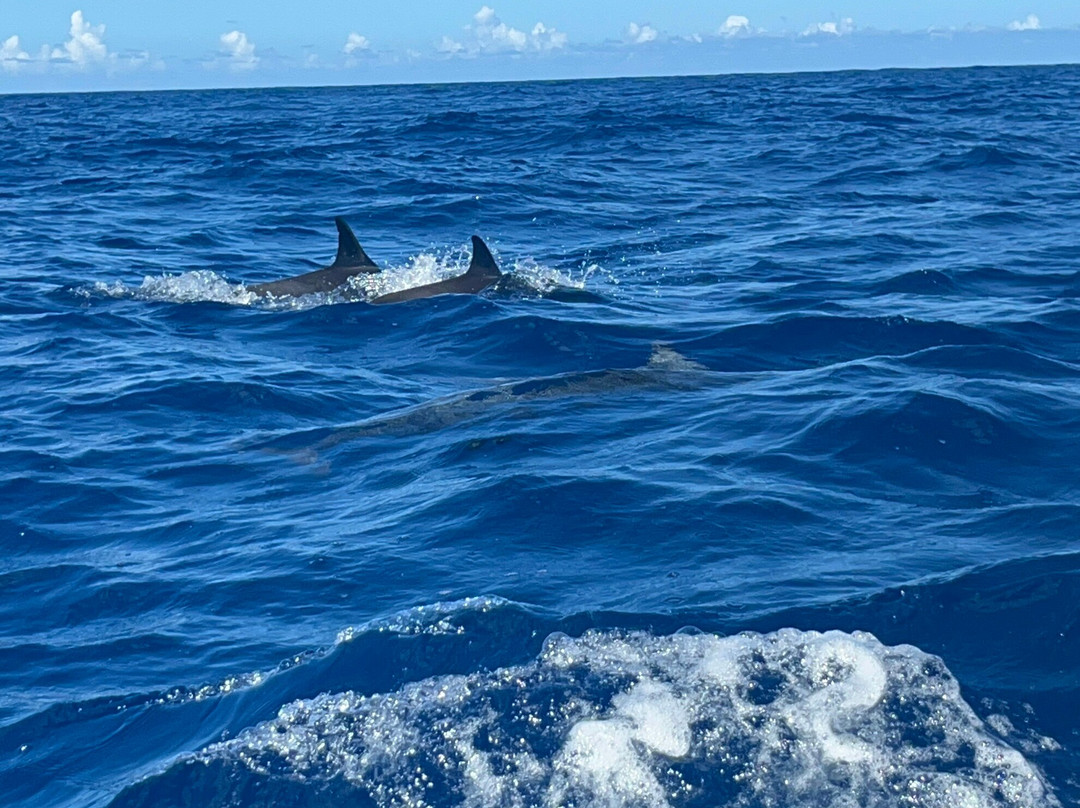 Ilot Gabriel Beach-Ilot Gabriel必去景点