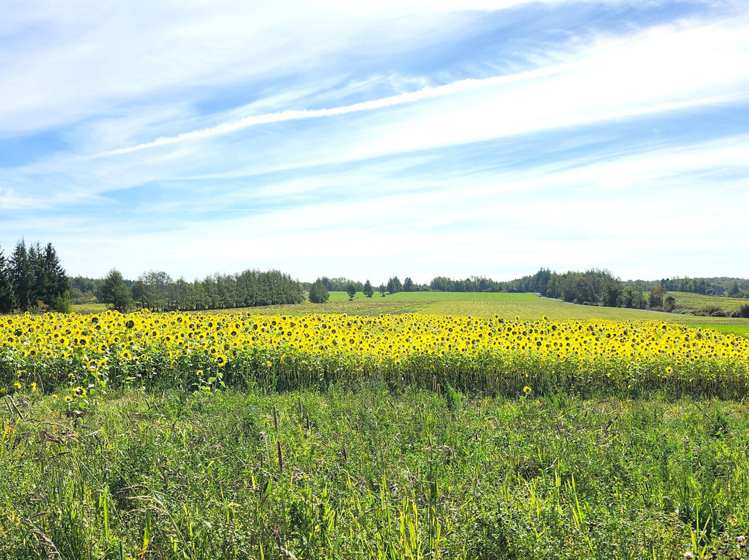 Ferme Roberge & Gosselin-Saint-Pierre-de-l'lle-d'Orleans必去景点