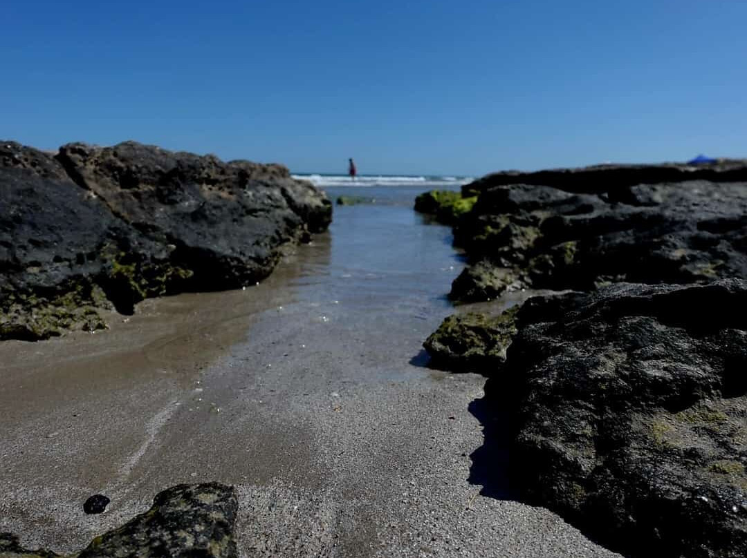 Platja Del Carabassí-埃尔切必去景点