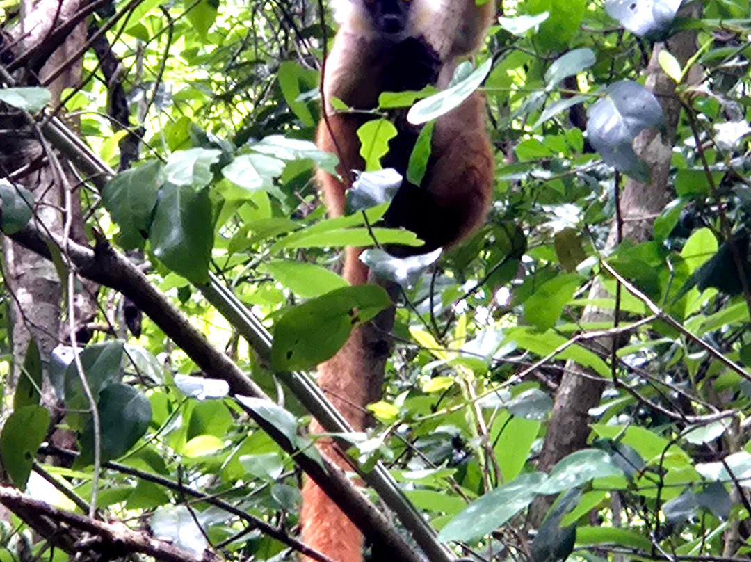 MADA INFINITY TOUR-Nosy Komba必去景点