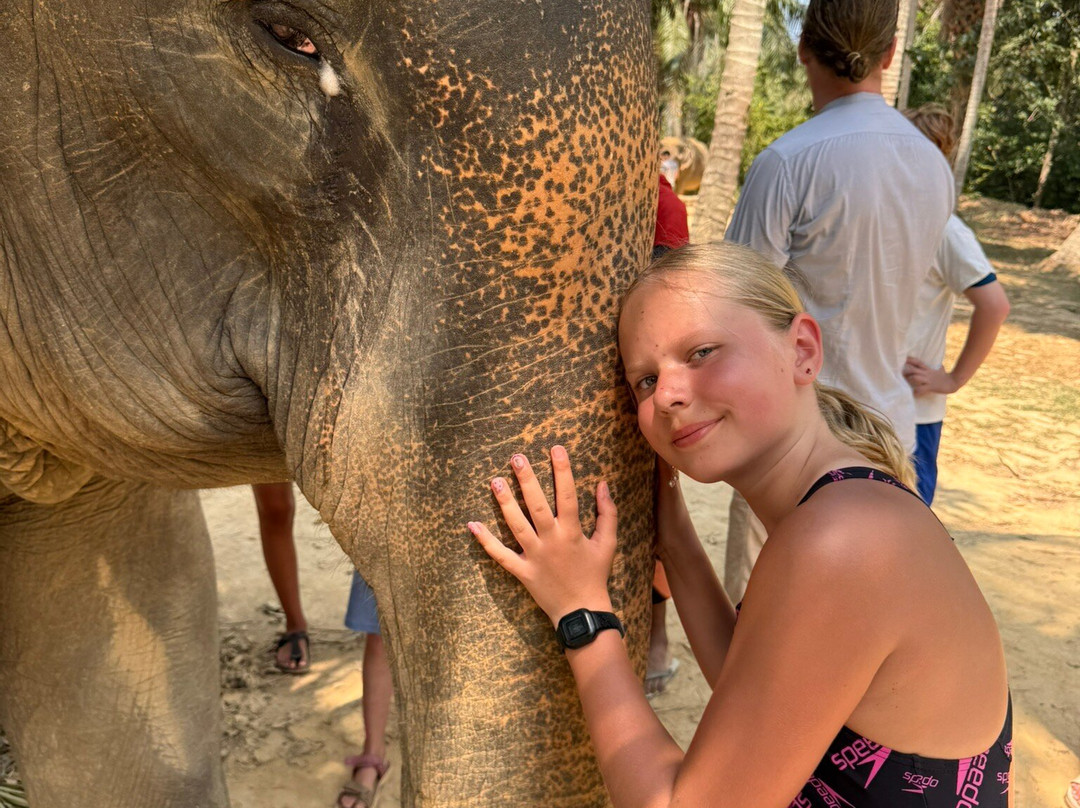 Lanta Elephant Sanctuary-兰塔岛必去景点