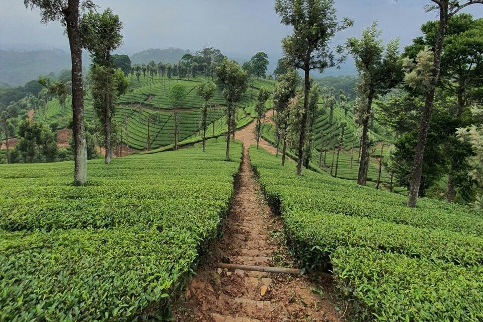 Lopchu Hill Ventures