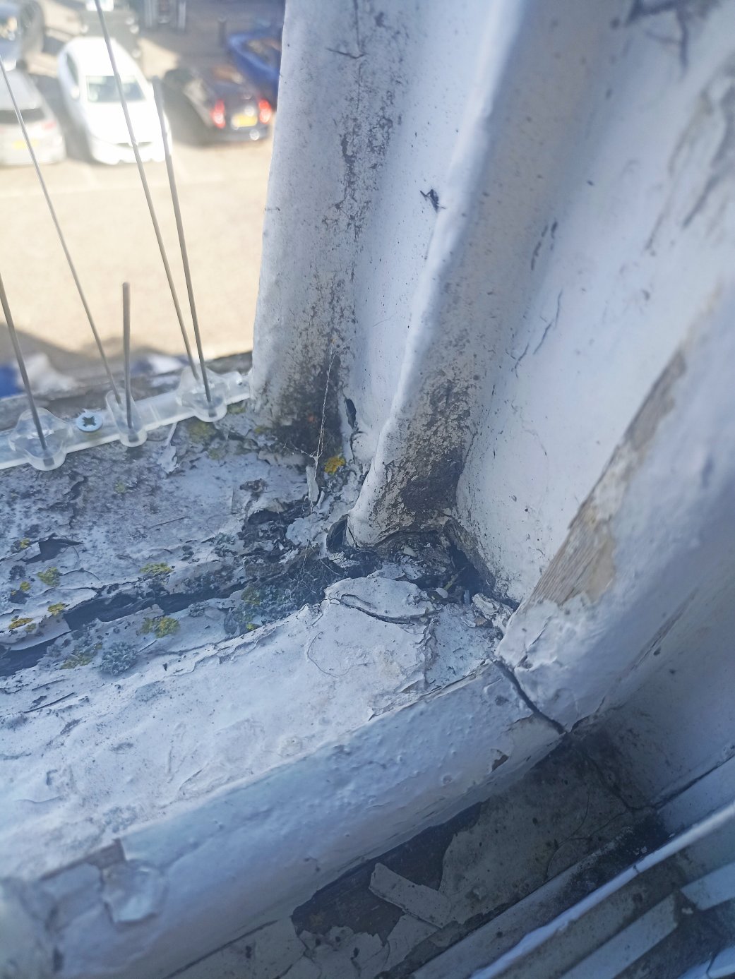 威瑟斯普恩希瑞屯斯酒店-客卧