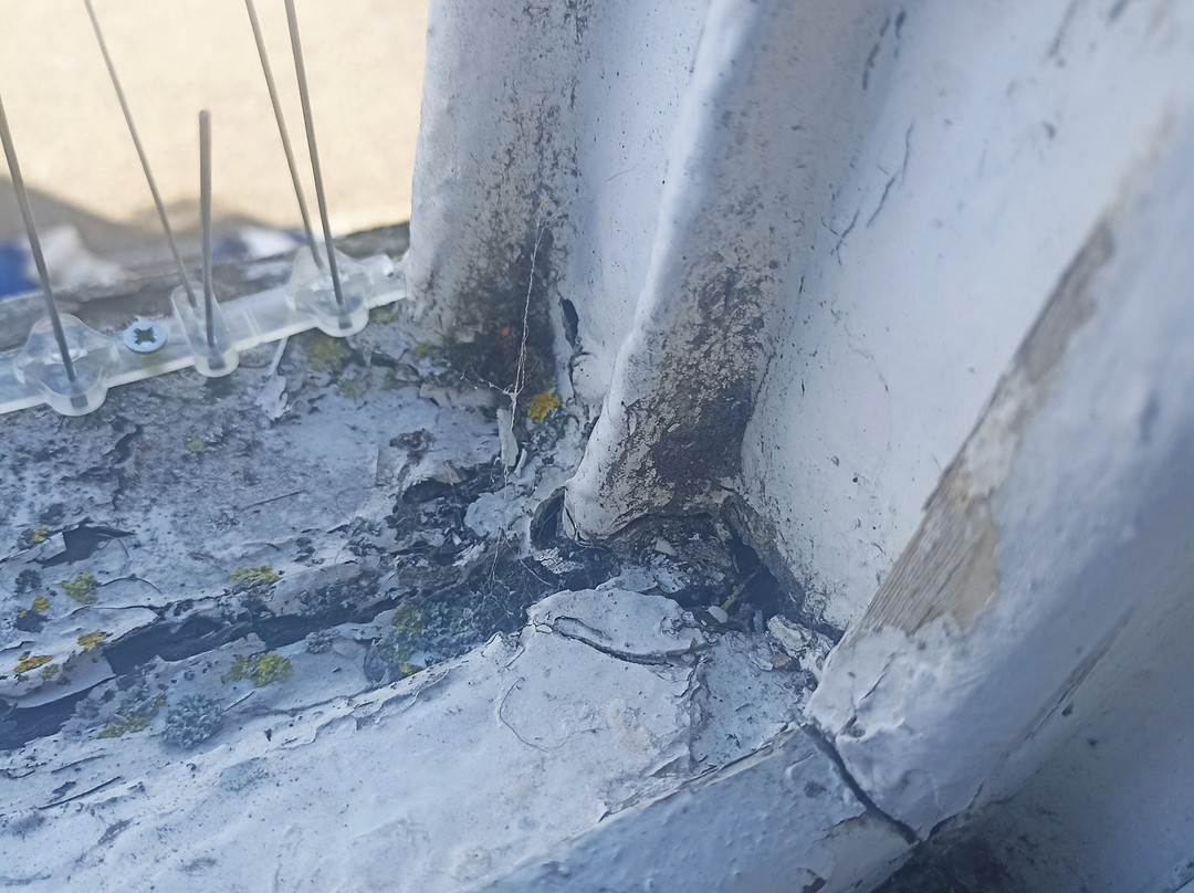 威瑟斯普恩希瑞屯斯酒店主图