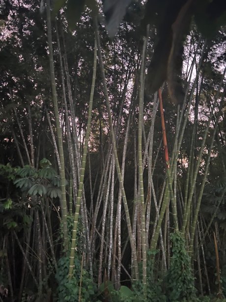 La Huerta Hotel-官方