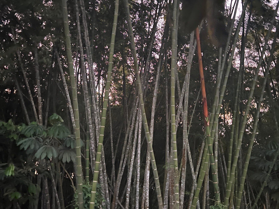 La Huerta Hotel主图